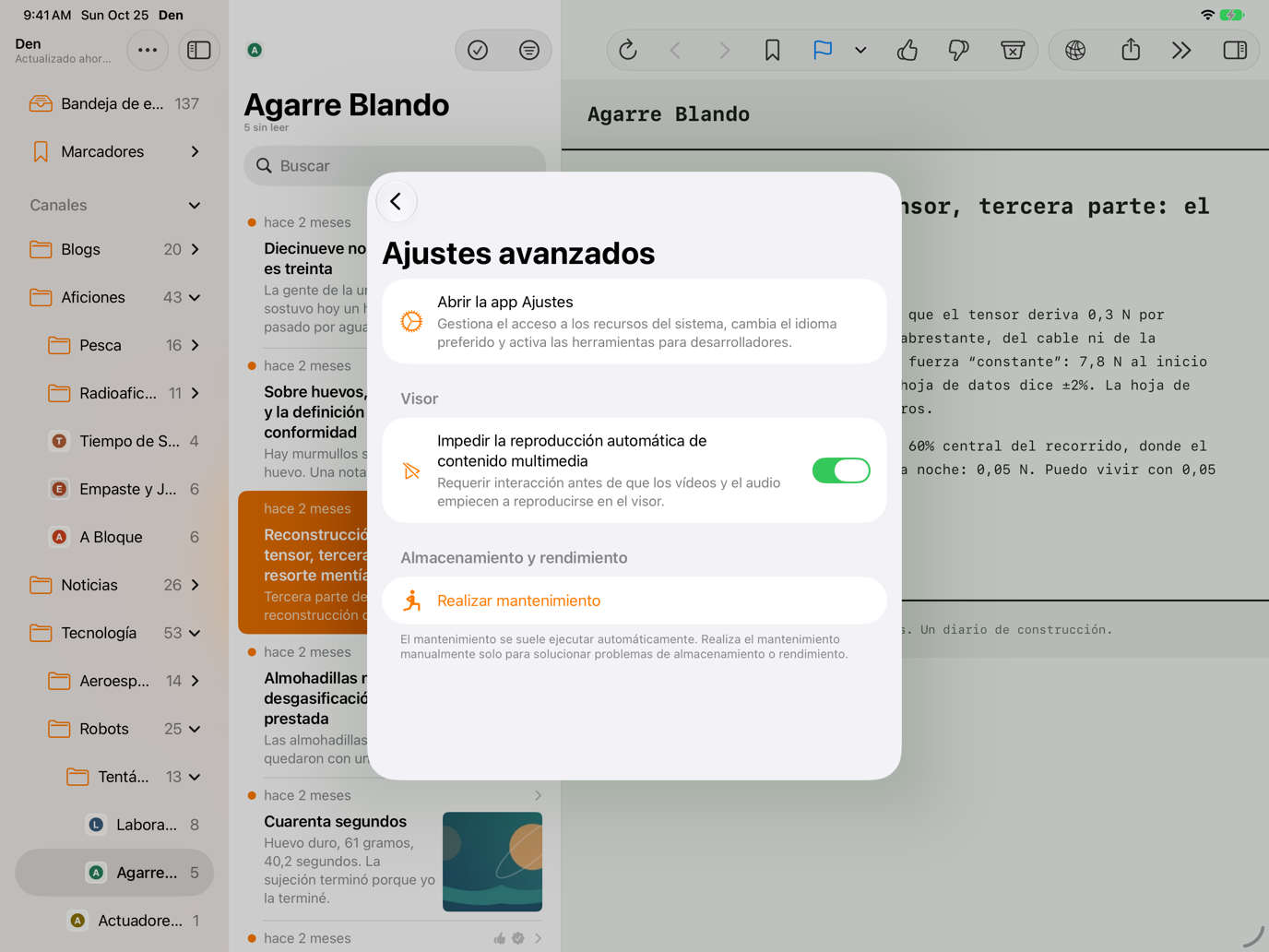 Hoja de ajustes avanzados con Abrir la app Ajustes, el interruptor Impedir la reproducción automática de contenido multimedia en la sección Visor, los enlaces de Compatibilidad de idiomas y el botón Realizar mantenimiento en Almacenamiento y rendimiento.