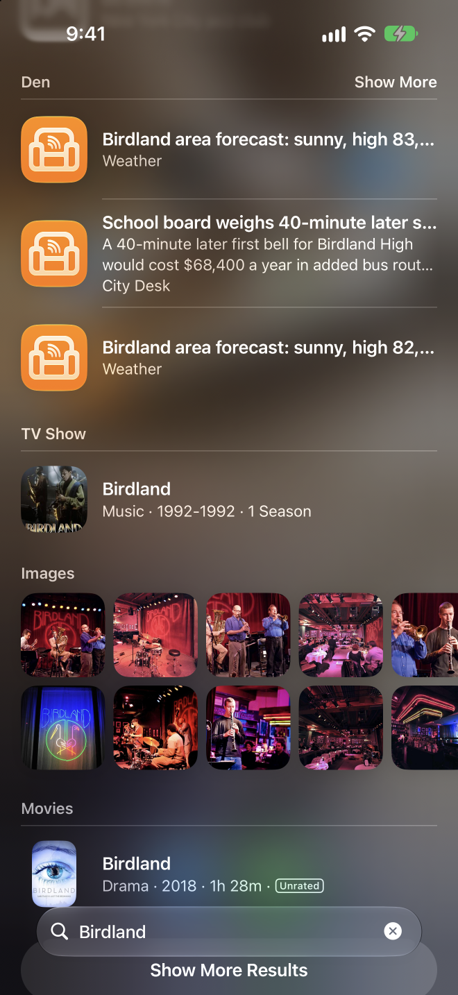 Spotlight on iPhone showing a Den article result.