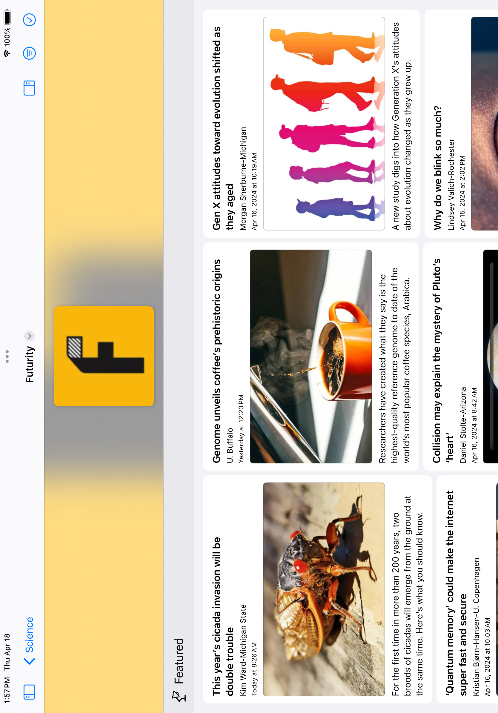 iPad Large Previews Screenshot